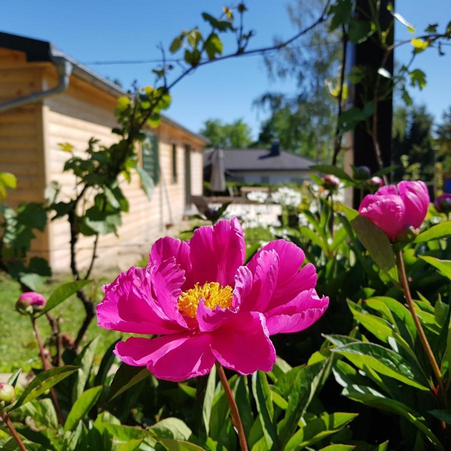 Chalet "Waldhauszeit" Am See Mücke Zewnętrze zdjęcie