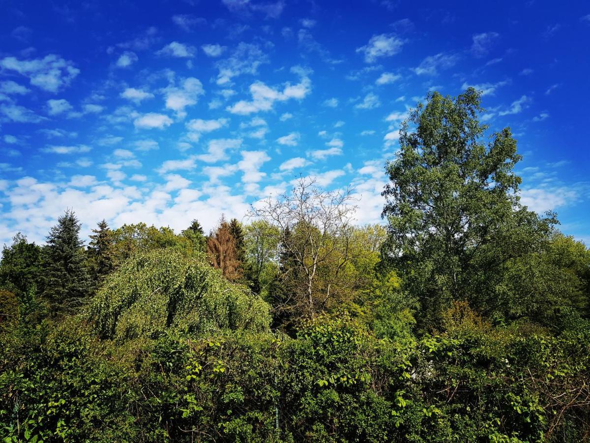 Chalet "Waldhauszeit" Am See Mücke Zewnętrze zdjęcie